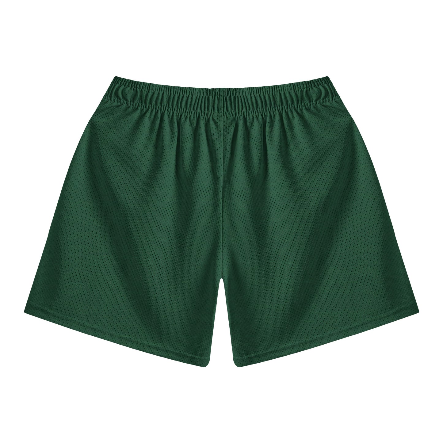 Titan Classic Mesh shorts