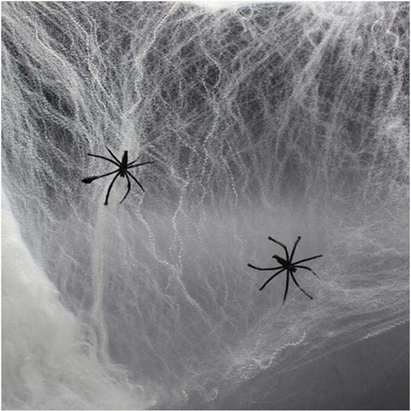 Halloween Spider Web