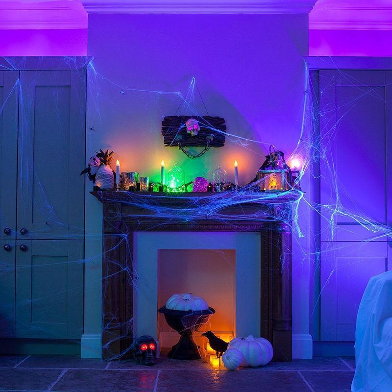 Halloween Spider Web